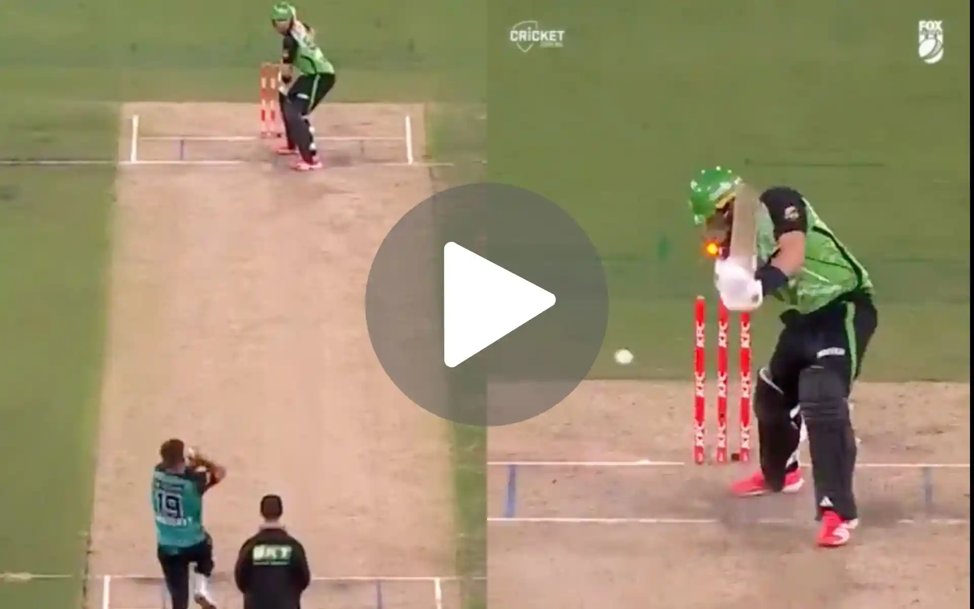 Punjab Kings' Hunt For New Malinga Ends As Aussie Lights Up BBL With A Textbook Yorker